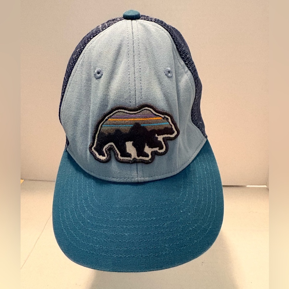 Patagonia Blue and Grey Hat